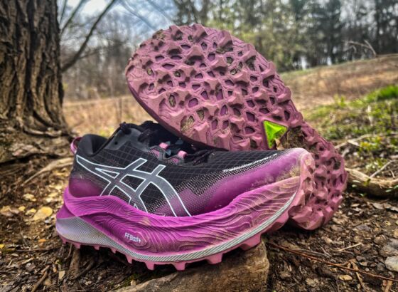 Picture of ASICS Trabuco Max 3